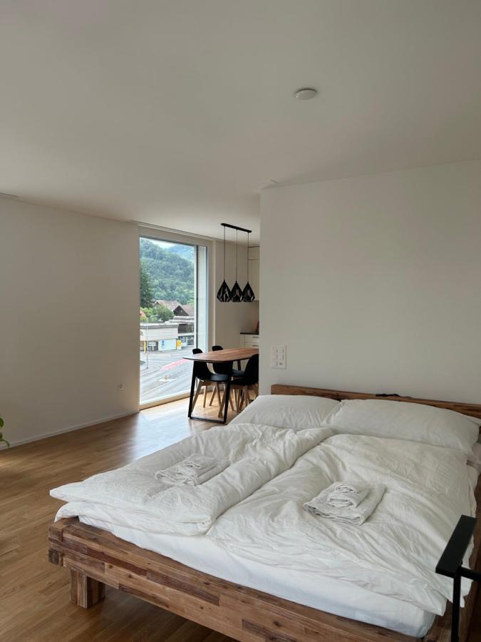 The R Apartment Engelberg, Klima, Neu, Balkon, Parking Balsthal المظهر الخارجي الصورة